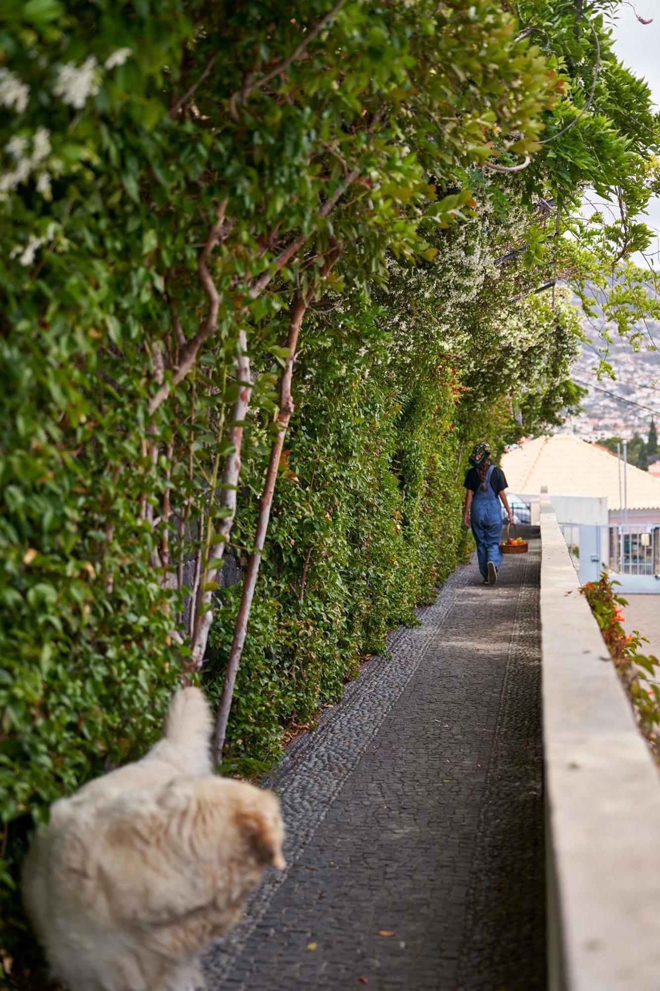Bordal Houses Funchal  Zewnętrze zdjęcie