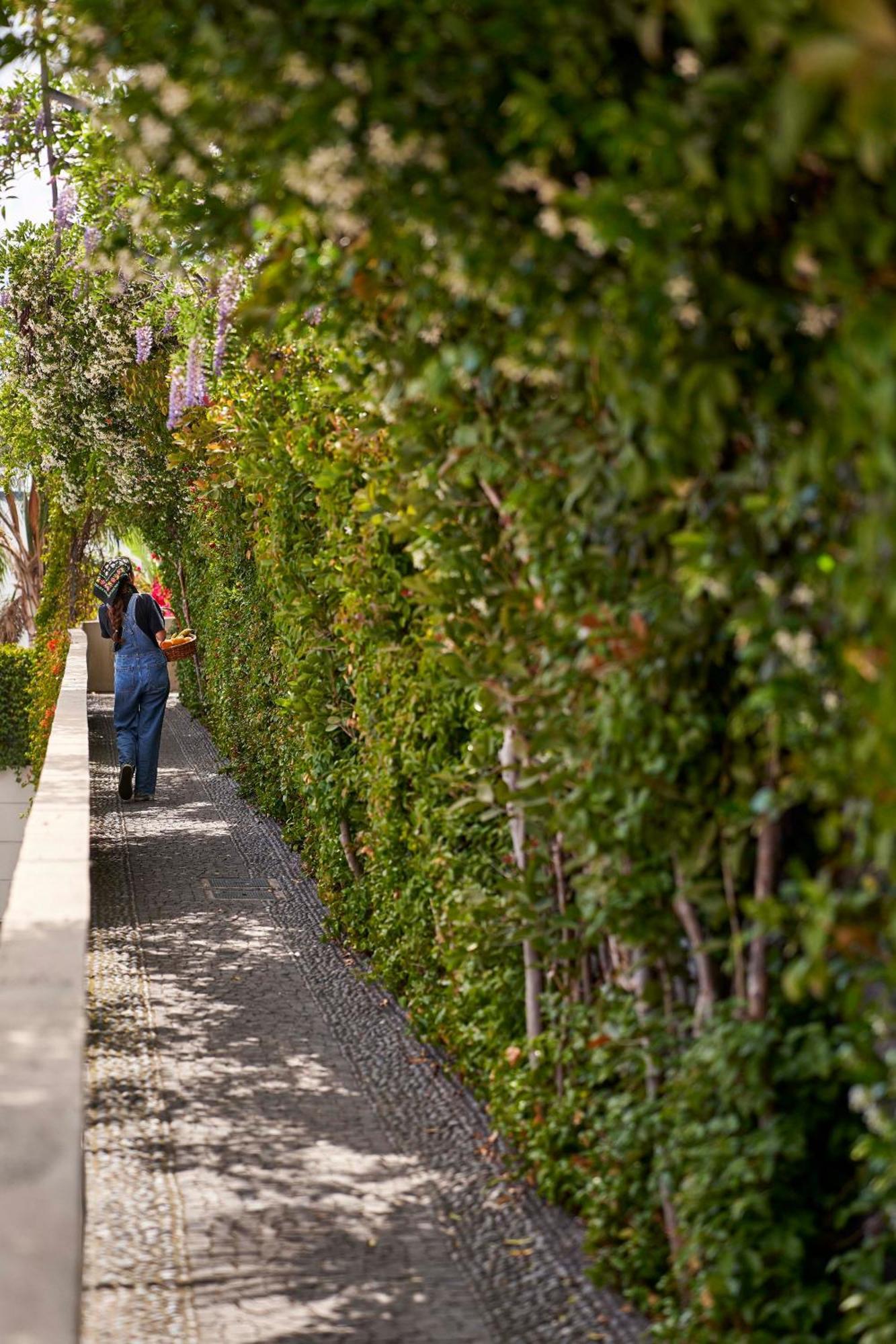 Bordal Houses Funchal  Zewnętrze zdjęcie